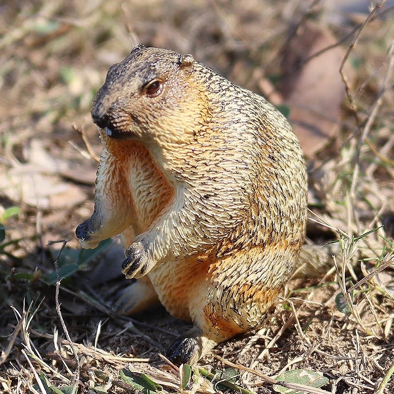titihuirie 3PCS Groundhog Figurine Groundhog Sculpture Groundhog Model Animal Model
