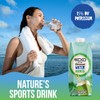 MICOCO Coconut Water, No Added Sugar, 16.9 Fl Oz (Pack