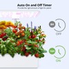 Nuoya 12 Pods Hydroponic System Grow Kit, Indoor Garden Hydroponic