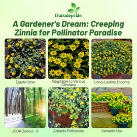 Outsidepride Creeping Zinnia Seeds - 4000 Pcs Annual Flower Seeds for Planting Outdoors, Easy to Grow, Drought Tolerant, Ideal for Pollinator Gardens and Ground Cover Displays