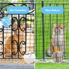 SUCCEFORT Cat Net for Balcony, 3 x 4 m Cat