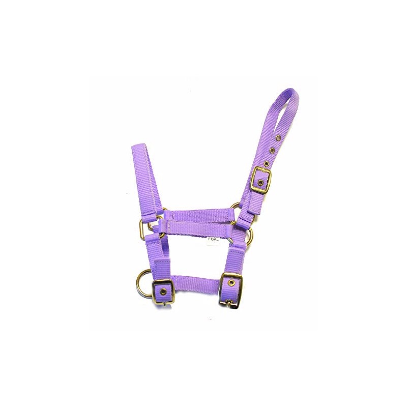 Rhinegold Nylon Foal Headcollar - Lilac