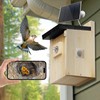 Solar Bird House with Camera, 1080P HD Wooden Smart Birdnest