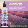 Bodhi Dog Natural Calming Spray for Dogs - Anxiety Relief
