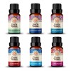 Gurunanda Set De 6 Esencias Terapéuticas Aromaterapia Guru Nanda