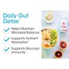Silver Fern Gut Rehab Kit - 30 Day Supply -