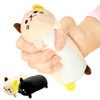 (Supervised by a Health Exercise Instructor) Nyan Trehand, Mike and