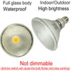 25W PAR38 LED Flood Light,250W PAR38 Halogen Bulb Equivalent,Daylight White,Full