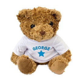 NEW GEORGE Teddy Bear - Cute And Cuddly - Gift Present Birthday Xmas