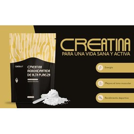 QUENUT | Creatina Monohidratada de Alta Pureza Sin Sabor, Creapure® (23BD21) | Apoyo para la Energía y Rendimiento Físico | Suplemento Alimenticio, Si
