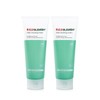 Red Blemish Clear Soothing Foam 150ml 1+1 / 레드 블레미쉬 클리어 수딩 폼 150ml 1+1