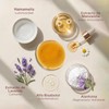 Calm Boost Booster Calmante - Suero con Manzanilla, Hamamelis y