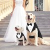 Illumifun Tuxedo Suit and Bandana Set, Elegant Dog Wedding Party