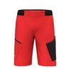 Salewa Pedroc 3 DST M Men's Cargo Shorts, 1501 Flame/0910