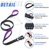 Strong Heavy Duty Dog Leash - 4ft Reflective Nylon Training