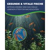Hobby Artemia Breeder