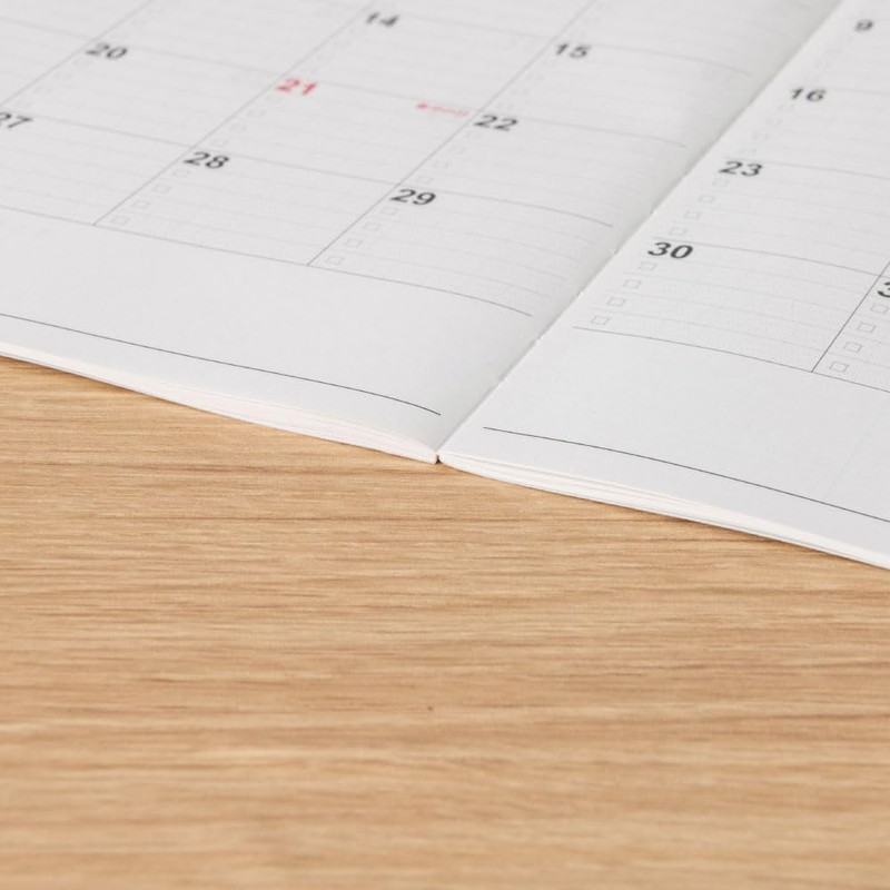 Logical Diary NS-B602-25DA2 Monthly Notebook Type D/B6/Poo, 2025