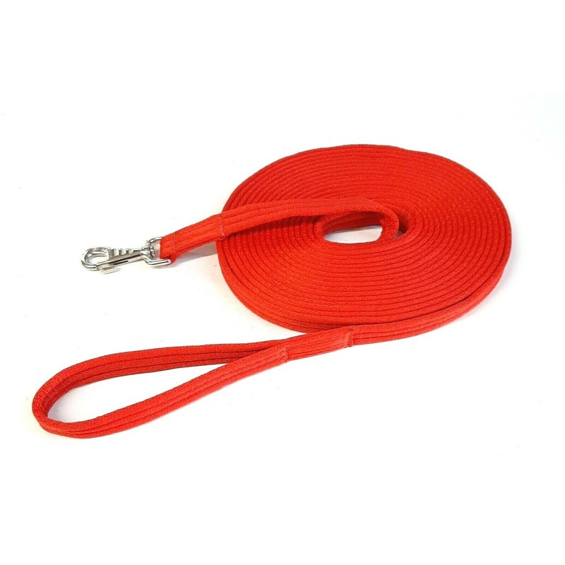 Horse Lunge Line/Large Dog Training Walking Lead Leash 25mm Padded