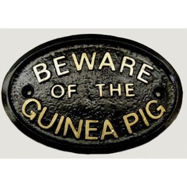 "BEWARE OF THE GUINEA PIG" HOUSE/GARDEN WALL PLAQUE (BLACK) WITH GOLD RAISED LETTERING
