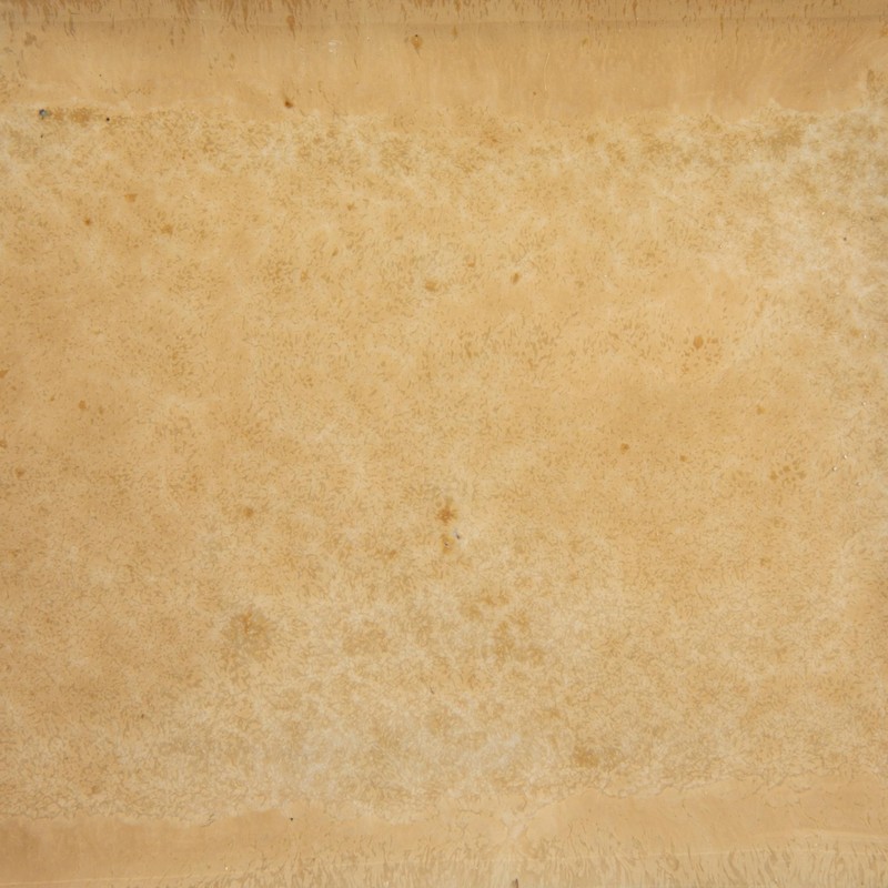 Bloomingville Stoneware Butter Dish with Scalloped Handle, Caramel