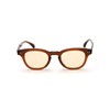 Schott LIAM Men's Sunglasses F 054 Light Brown 782-4970048, Braun