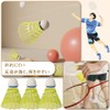 Badminton, Automatic Back Badminton, Beginner Badminton Practice Set, Badminton, Single,