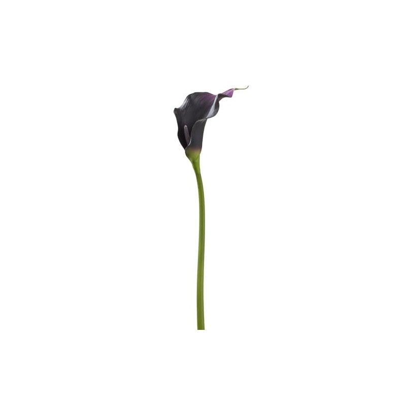 SilksAreForever 24"" Calla Lily Silk Flower Stem -Eggplant (Pack of