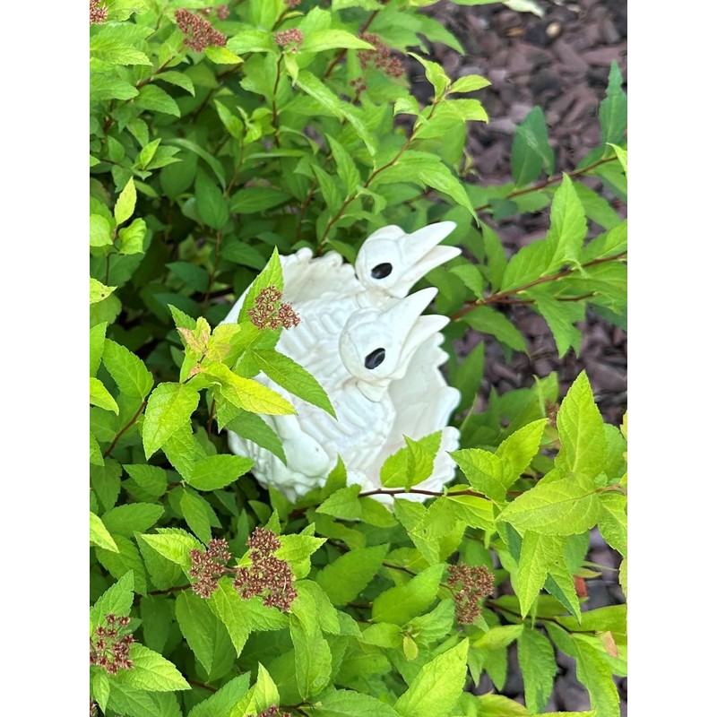 Crazy Bonez Skeleton Nest with Chicks