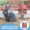 3 Pcs Rabbit Hay Feeder, Hay Feeder Rabbit, Guinea Pig