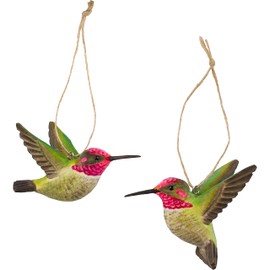 WILDLIFEGARDEN Wildlife Garden WG4675 DecoBird Annakolibri - Set of 2, Hand-Carved Decorative Wooden Birds