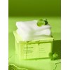 Papa Recipe Real Centella Cica Daily Quick Cooling Mask (30