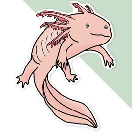 Azeeda 'Axolotl' White Premium Vinyl Decal Sticker – Waterproof, Durable & Easy to Apply - Ideal for Car Bumpers, Windows, Bins and More (DW00125559)