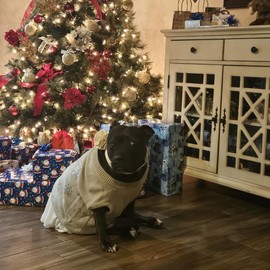 ARING PET Velvet Dog Collars, Pink Soft Pet Collar with Detachable Felt Flower Metal Buckle for Puppy Small Medium Large Boy Girl Dogs-XS