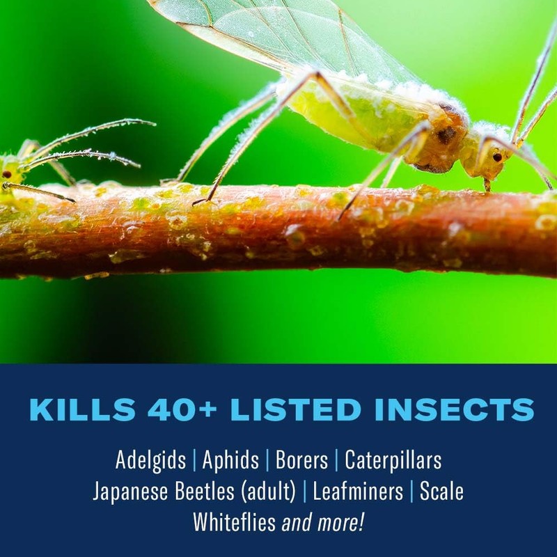 BioAdvanced 12 Month Tree and Shrub Protect and Feed II,