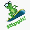 Cool frog on a snowboard. Bumper Sticker Vinyl Decal 5