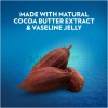 Vaseline Cocoa Butter Pure Petroleum Jelly 50ML 6PK