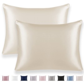 Texbee Silk Pillow Cases Queen, Silk Pillowcase 2Pack Both Sides Natural Silk Satin Pillow Covers with Hidden Zipper, Health,Soft and Smooth 20"x30"(Cream)