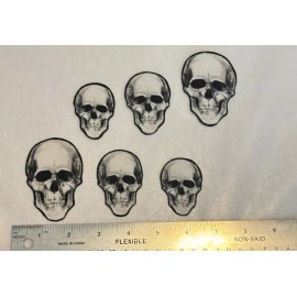 6 Skulls Pre-Cut Iron on Fabric Appliques
