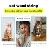 Gudaci Interactive cat Toy, cat Wand String, Colorful Fabric Ribbon