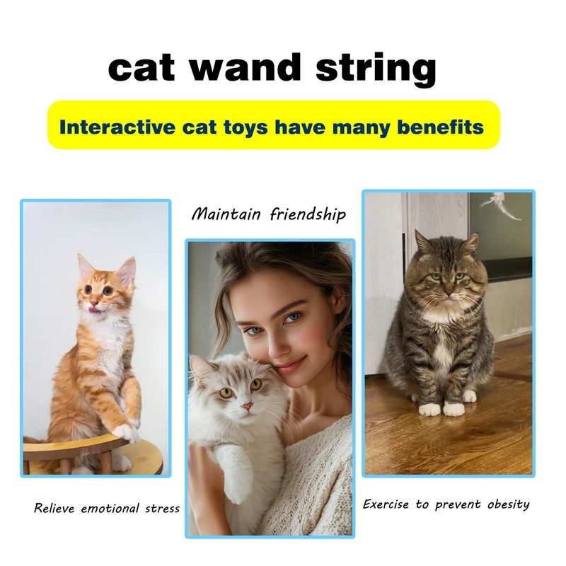 Gudaci Interactive cat Toy, cat Wand String, Colorful Fabric Ribbon