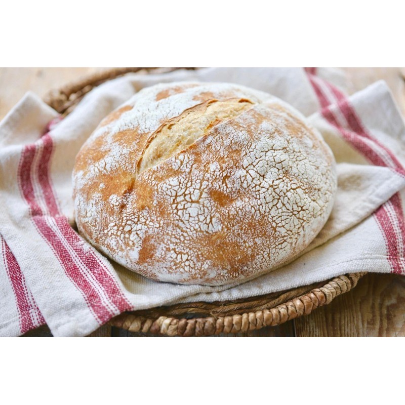 Heritage Sour Sourdough Starter Dehydrated Strong Wharf Heritage San Francisco
