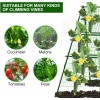 7Queen Cucumber Trellis Garden Trellis Arch Trellis, Tall Metal Trellis