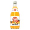 GuS Grown-Up Soda | Lightly Sweetened Sodas with Real Juices