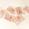 Luna Conceal Blender Palette 6g / 루나 컨실 블렌더 팔레트 6g