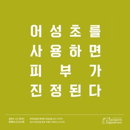 Solving mask troubles  Vegan Houttuynia cordata extract toner - Houttuynia cordata extract toner / 마스크 트러블 고민 해결  비건 어성초 추출물 토너 - 어성초 추출물 토너