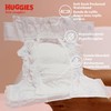 Huggies Little Snugglers Size 1 , 20 Count