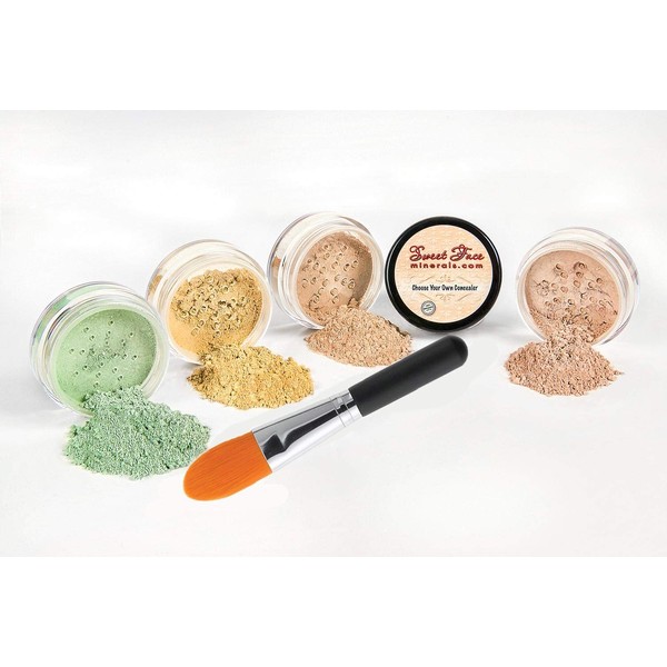 CONCEALER & CORRECTOR KIT with BRUSH Mineral Makeup Set Bare Skin Matte Powder (20 gram Sifter Jars, Medium Concealer)