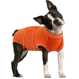 FUAMEY Dog Recovery Suit Male,Dogs Surgery Neuter Suits Puppy Spay Shirts for Female Protect Dog's Skin Anti Licking Abdominal Wounds Doggie Onesie Pet Bodysuit Alternative to Cone Orange M