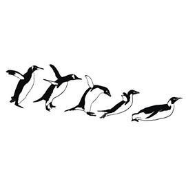 Newclew Penguin Family with Baby Scenery Nursery Kids Mom Dad Fun Removable Wall Decal Sticker Art Fun Décor Mural Sticker (Family 4 (Large))