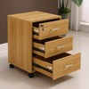 HOWDIA 2 Pcs - Drawer Lock Cabinet Locks with Keys,